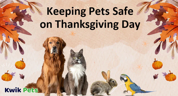 How To Celebrate Thanksgiving With Your Pets This Year?