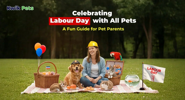 Celebrating Labour Day with All Pets: A Fun Guide for Pet Parents