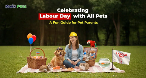 Celebrating Labour Day with All Pets: A Fun Guide for Pet Parents