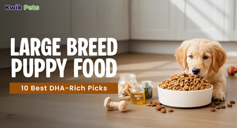 Large Breed Puppy Food – 10 Best DHA-Rich Picks