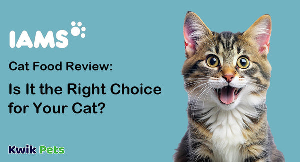 Is IAMS Cat Food The Right Choice For Your Kitty?