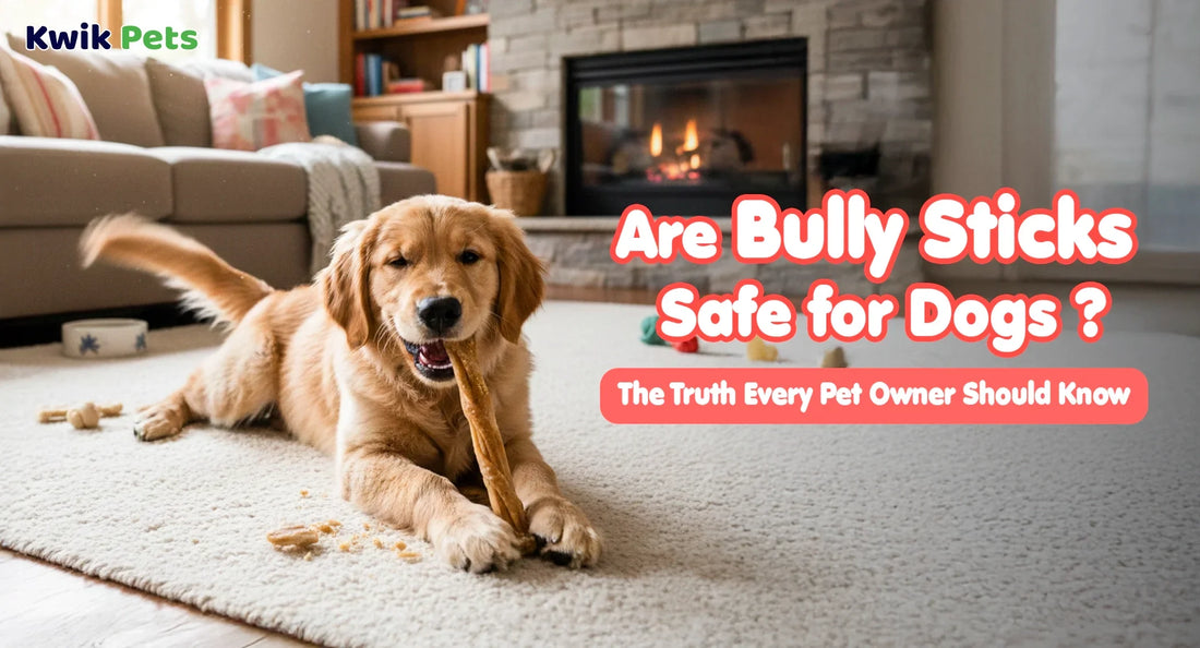 Are Bully Sticks Safe for Dogs? The Truth Every Pet Owner Should Know