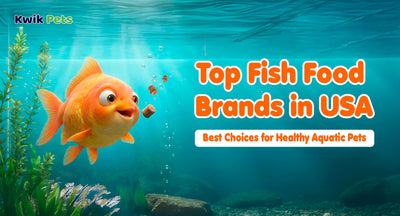 Top Fish Food Brands in USA: Best Choices for Healthy Aquatic Pets