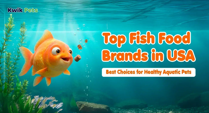 Top Fish Food Brands in USA: Best Choices for Healthy Aquatic Pets
