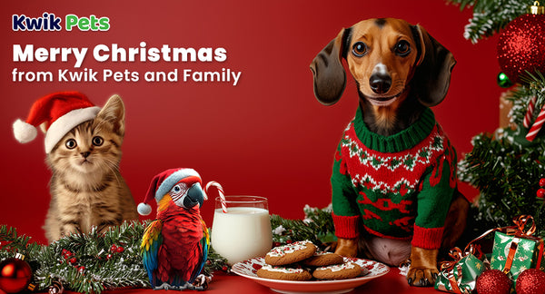3 DIY Christmas Treats for Dogs, Cats, and Birds 2025