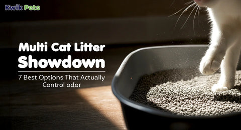 Multi Cat Litter Showdown 2026: 7 Best Options That Actually Control Odor