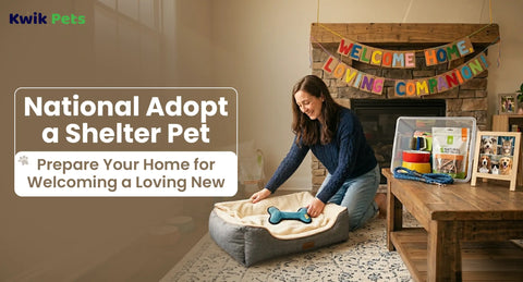 National Adopt a Shelter Pet Day: Prepare Your Home for Welcoming a Loving New Companion