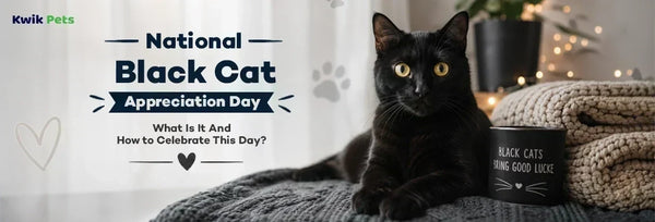 National Black Cat Appreciation Day