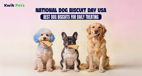National Dog Biscuit Day USA: Best Dog Biscuits for Daily Treating