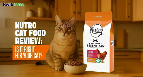 Nutro Cat Food Review: Is It Right for Your Cat?