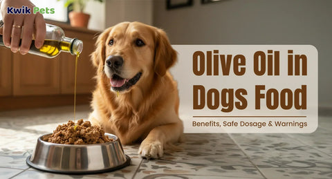 Olive Oil in Dogs Food – Benefits, Safe Dosage & Warnings