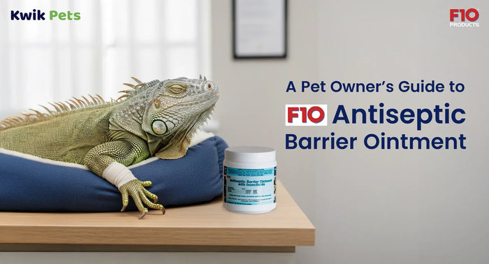 A Pet Owner’s Guide to F10 Antiseptic Barrier Ointment