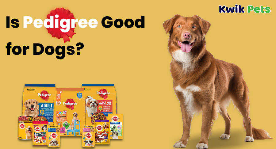 Pedigree Dog Food
