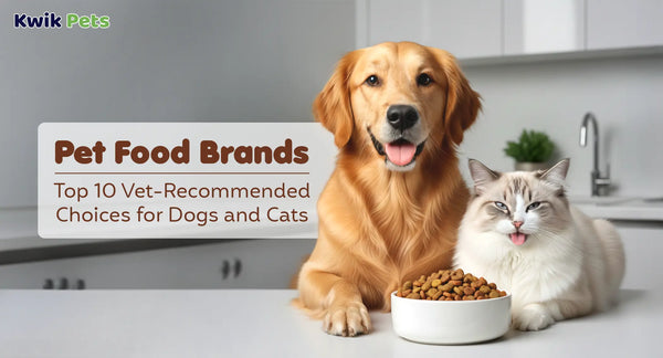 Pet Food Brands: Top 10 Vet-Recommended Choices for Dogs and Cats
