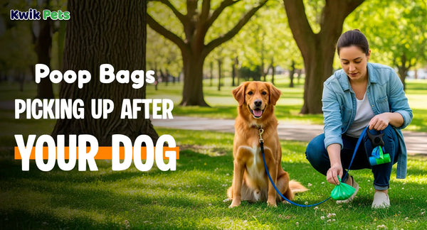 Poop Bags Picking Up After Your Dog