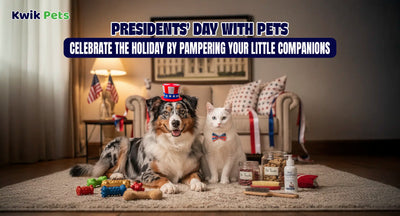 Presidents’ Day with Pets: Celebrate the Holiday by Pampering Your Little Companions