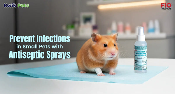 Prevent Infections in Small Pets with Antiseptic Sprays