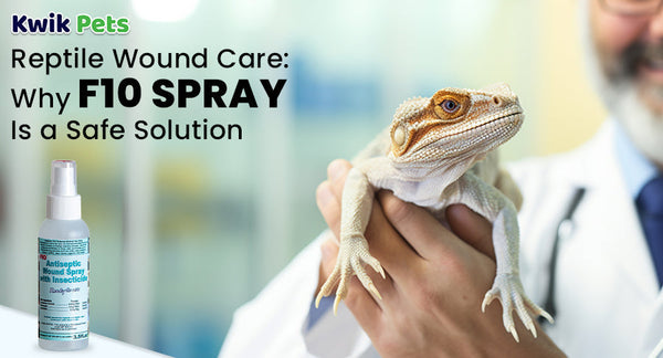 Reptile Wound Care: Why F10 Spray Is a Safe Solution