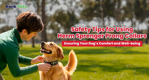 Safety Tips for Using Herm Sprenger Prong Collars Ensuring Your Dog’s Comfort and Well-being