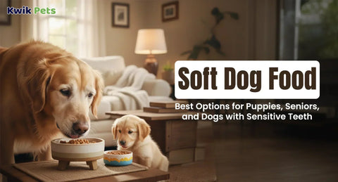 Soft Dog Food: Best Options for Puppies, Seniors, and Dogs with Sensitive Teeth