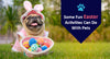 Some Fun Easter Activities Can Do With Pets