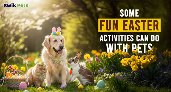 Some Fun Easter Activities Can Do With Pets