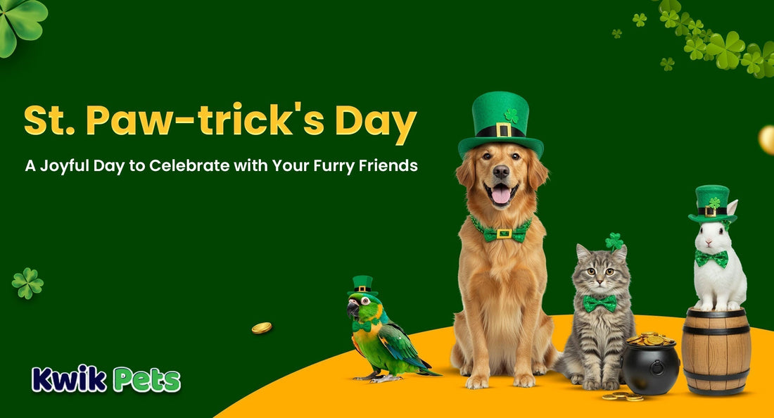 St. Patrick's Day - Kwik Pets