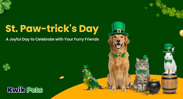 St. Patrick's Day - Kwik Pets