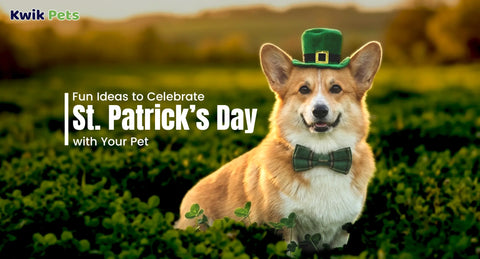 Fun Ideas to Celebrate St. Patrick’s Day with Your Pet