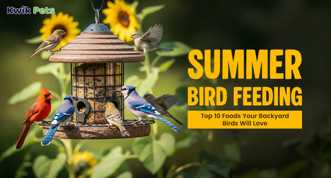 Summer Bird Feeding: Top 10 Foods Your Backyard Birds Will Love