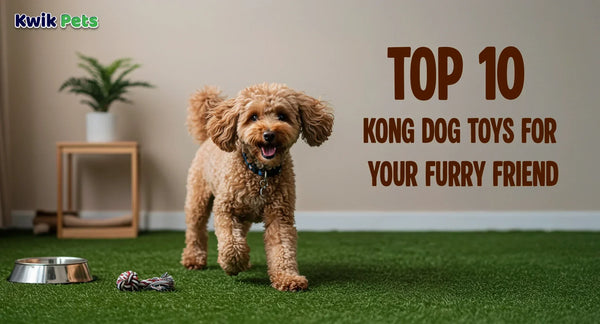 TOP 10 KONG DOG TOYS FOR YOUR FURRY FRIEND
