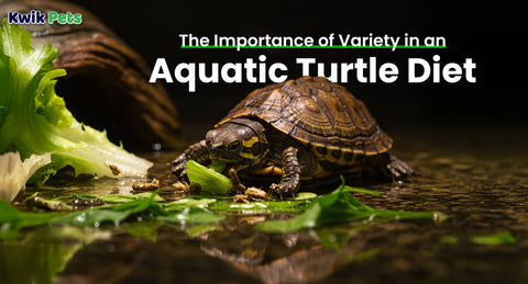 The Importance of Variety in an Aquatic Turtle Diet