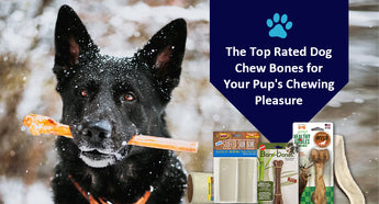 The Top Rated Dog Chew Bones for Your Pup's Chewing Pleasure
