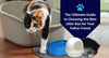 The Ultimate Guide to Choosing the Best Litter Box for Your Feline Friend