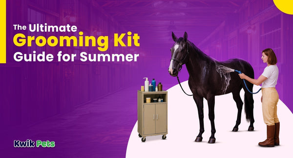 Horse Grooming Kit