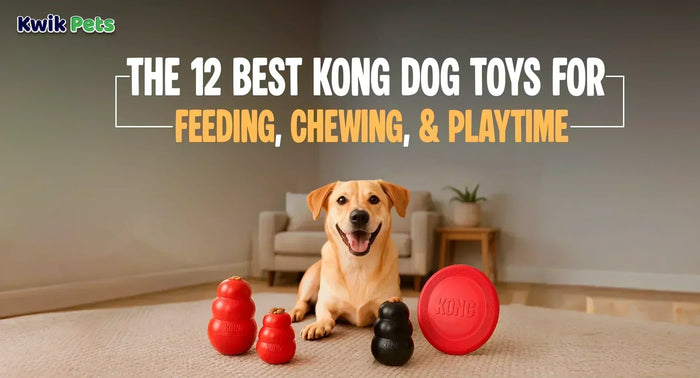 The 12 Best Kong Dog Toys For Feeding, Chewing, And Playtime
