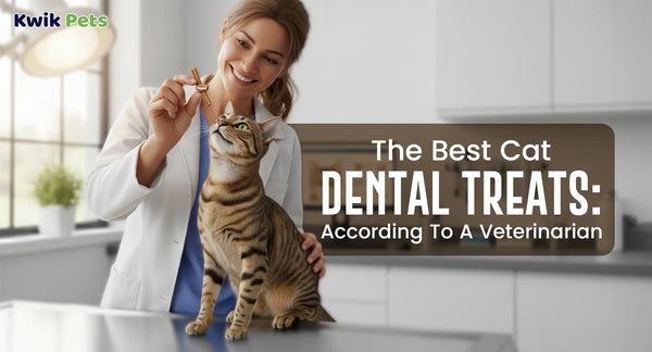The Best Cat Dental Treats According To A Veterinarian