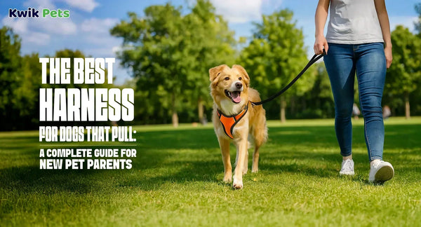 The Best Harness for Dogs That Pull: A Complete Guide for New Pet Parents
