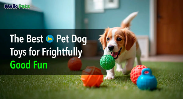 The Best JW Pet Dog Toys for Frightfully Good Fun