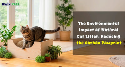The Environmental Impact of Natural Cat Litter: Reducing the Carbon Pawprint