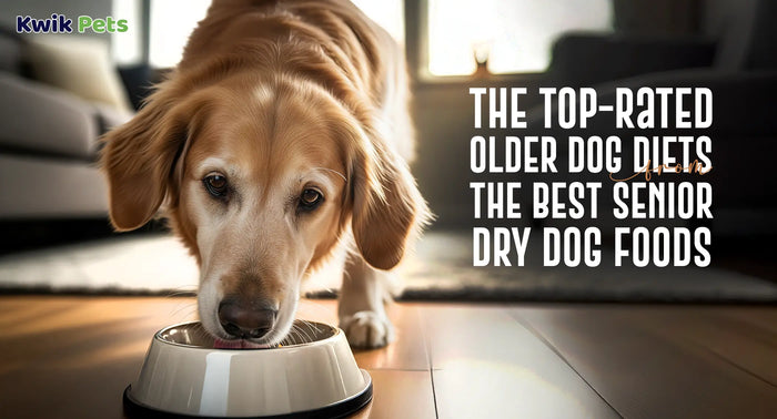 The Top-Rated Older Dog Diets From The Best Senior Dry Dog Foods
