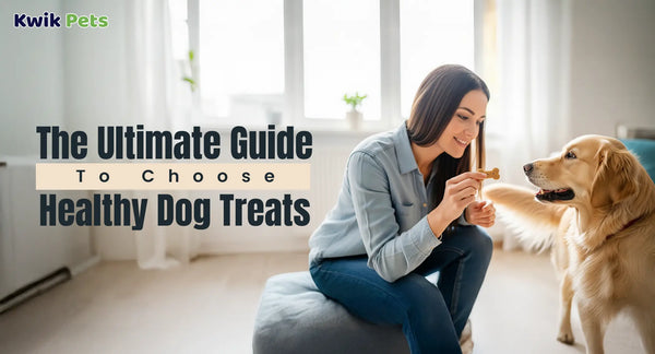 The Ultimate Guide To Choose Healthy Dog Treats
