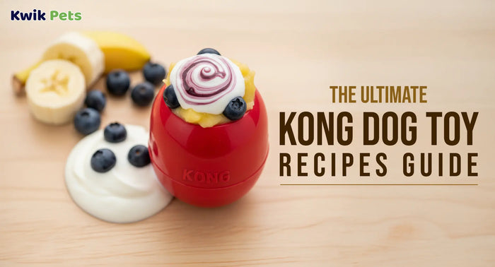 The Ultimate Kong Dog Toy Recipes Guide
