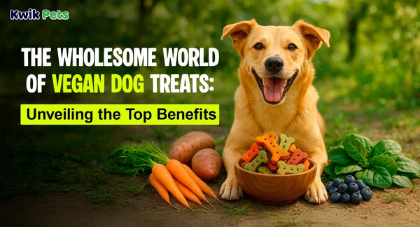 The Wholesome World of Vegan Dog Treats Unveiling the Top Benefits
