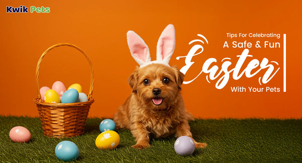 Tips For Celebrating A Safe & Fun Easter With Your Pets