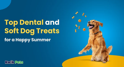 Top Dental and Soft Dog Treats for a Happy Summer
