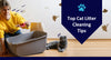 Top 10 Cat Litter Cleaning Tips