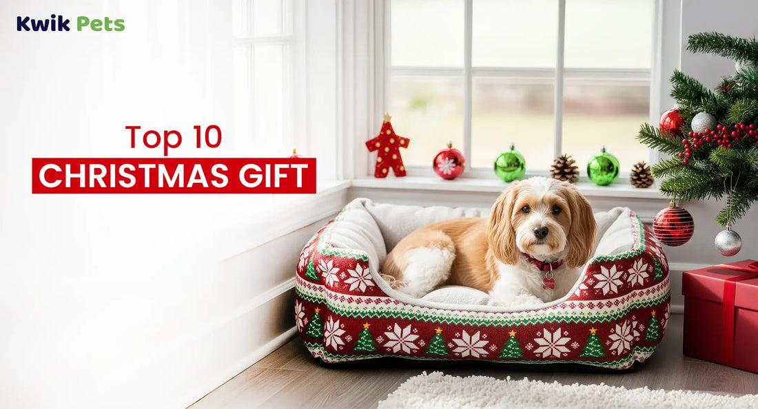 Top 10 Christmas Gift Ideas for Pets in 2025