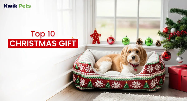 Top 10 Christmas Gift Ideas for Pets in 2025