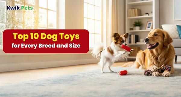 Top 10 Dog Toys